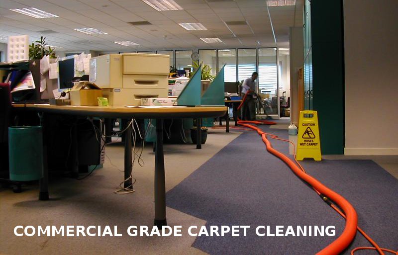 Commercial Carpet Cleaning Services In Sydney